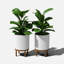 Jardinière Demi Series avec support-83889253-83889256-97745289