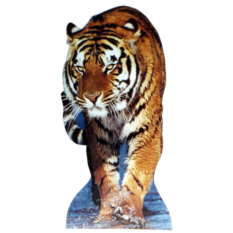 Life-Size Tiger Cardboard Standup with Full-Color Graphics