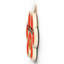 Gruia Wall Decor