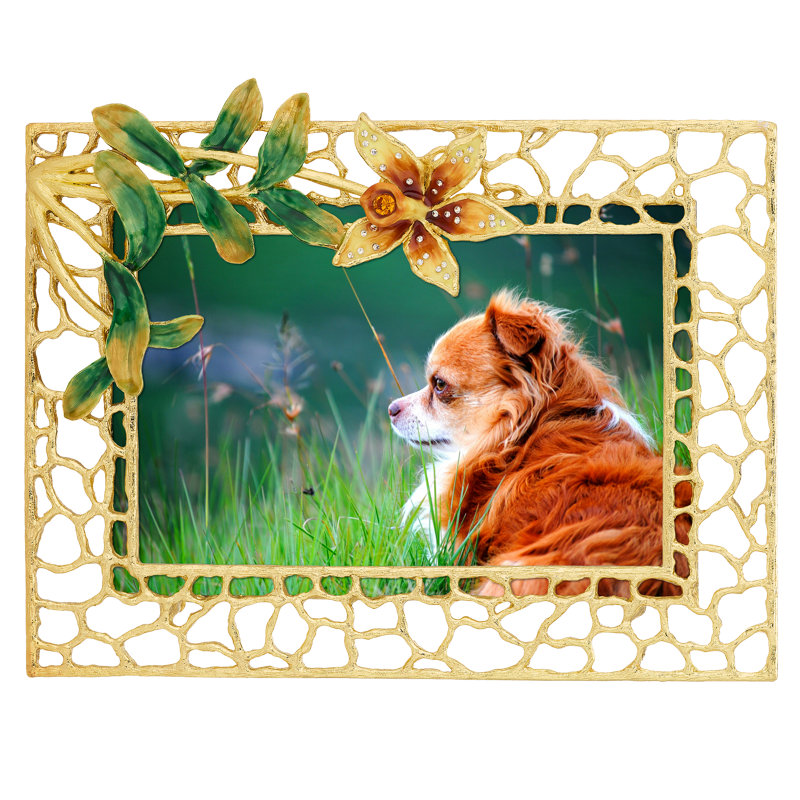 Splendora Picture Frame, 5" x 7"