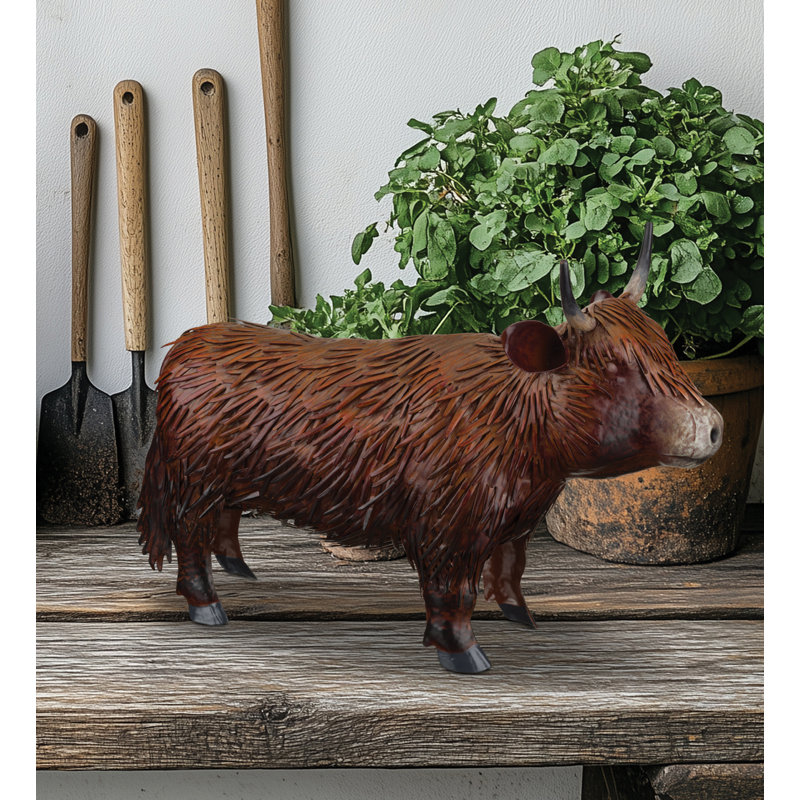 Vache Highland 10 po