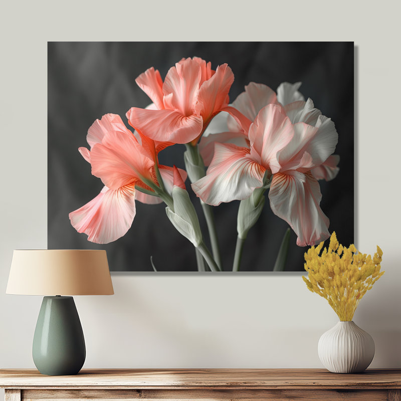 Rose, noir, jardin, glamour, iris - iris, art mural, Cadre photo blanc, H 12 po x l 20 po