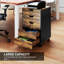 40 cm W 5 -Drawer Wheels / Casters included Mobile Filing Cabinet