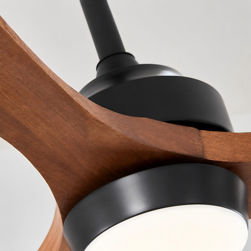 Ventilateur de plafond de 62 po à 3 pales en bois massif avec lumière et télécommande, Noir mat, 62 po de largeur, Red Wood