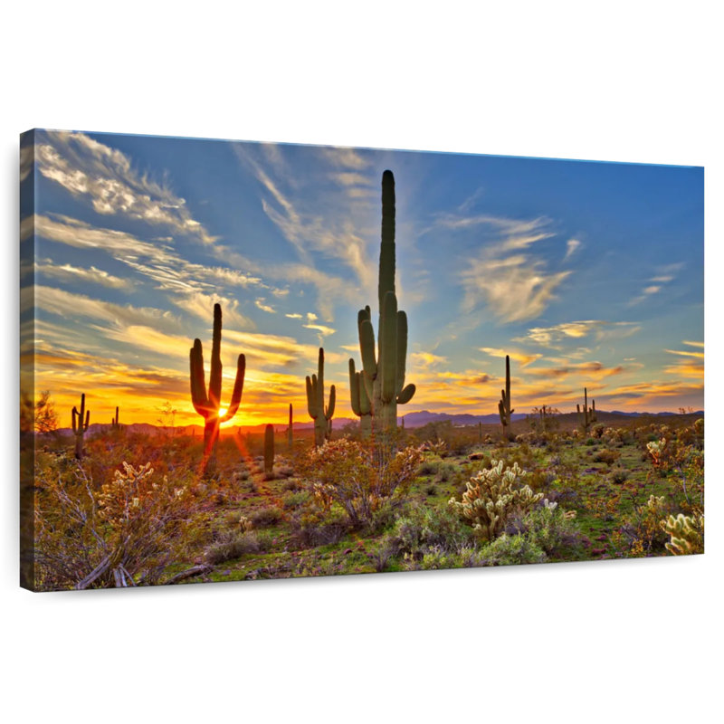 Alvord Sonoran Desert Saguaro Cactus, 30" H x 45" W