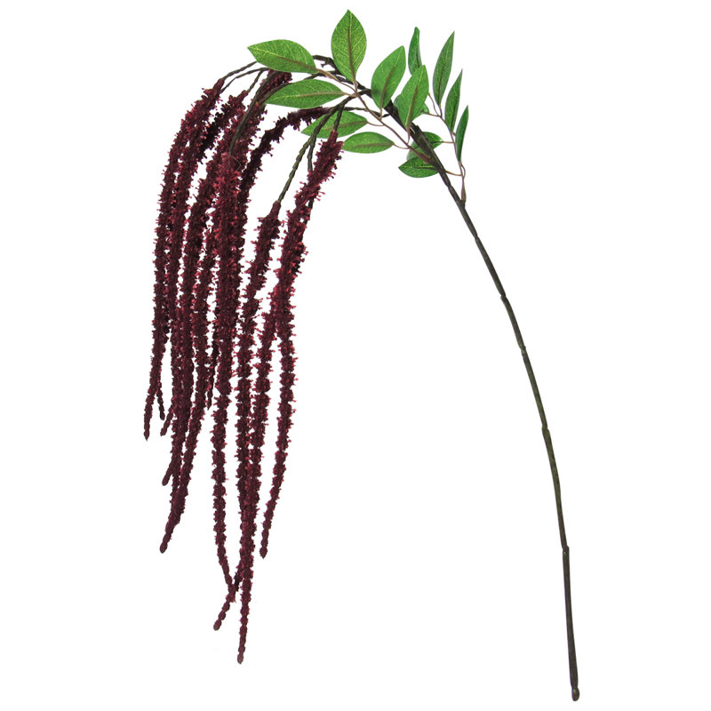 Amaranthus Flower Stem, Burgundy
