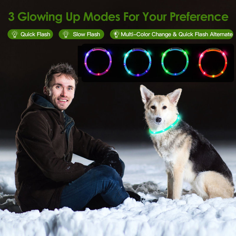 USB Rechargeable Lighting LED Dog Collar, 19.68" H x 0.39" D