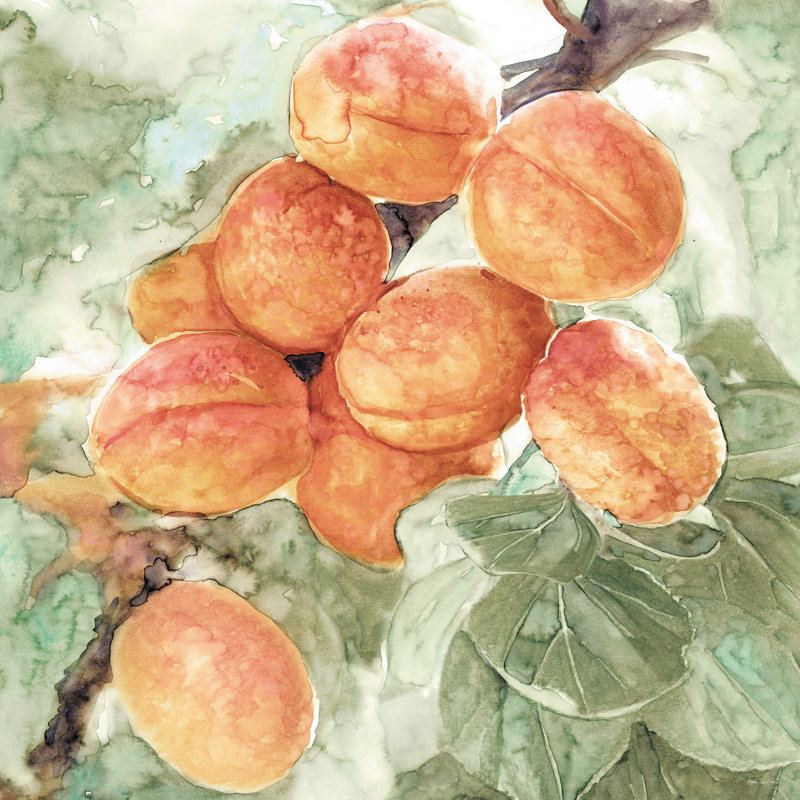«Peach Branch» par Stellar Design Studio - impression sur toile tendue, Papier avec cadre photo noyer, H 20 po x l 20 po, Oui