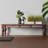 Eilidh-Marie Upholstered Bench-1583985759