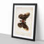 Cecropia Moth by S.F. Denton - Picture Frame Graphic Art Print-55513574-55513575