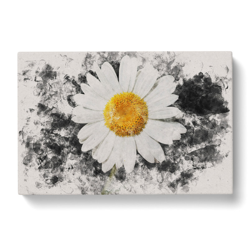 White Daisy Vol.6 Watercolour - Wrapped Canvas Print, 50cm H x 76cm W x 3cm D