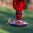 Hartranft Glass Hanging Hummingbird Feeder-548912057