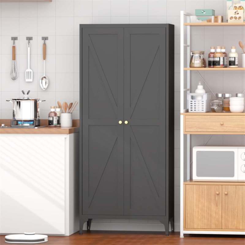 Armoire de rangement durable et réglable en métal à 2 portes avec tablettes, pour la cuisine, le salon et l'organisation de bureau