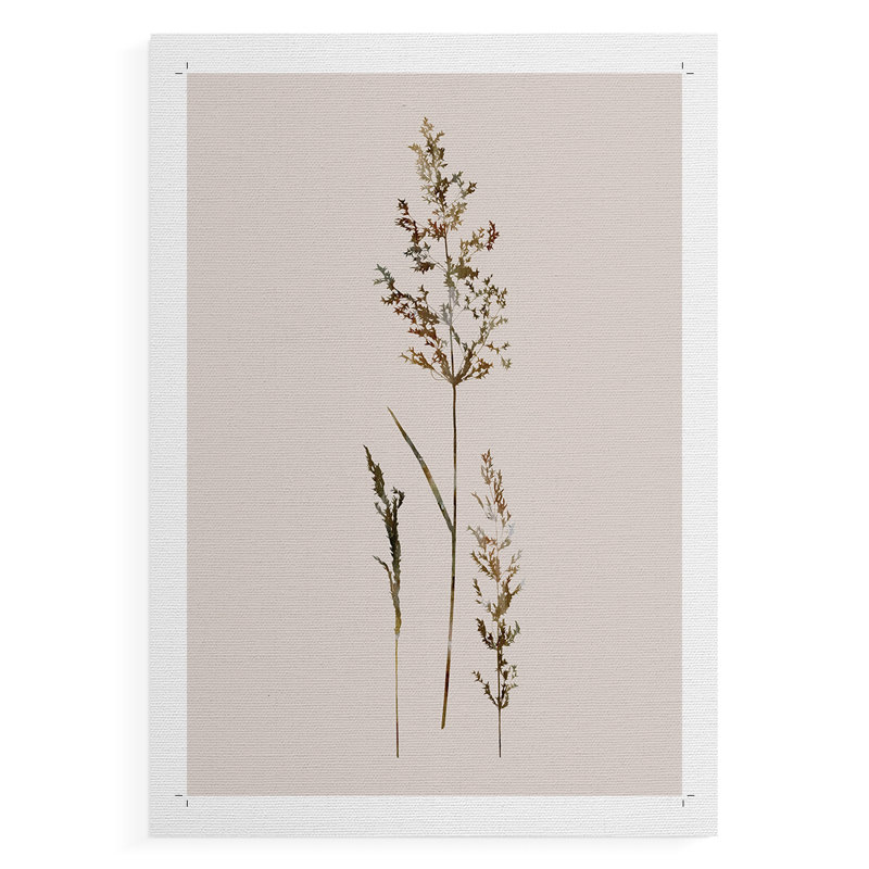 Delicate Stems II -Canvas Print Only - NOT FRAMED, 60" H x 40" W