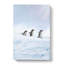 Three Penguins in the Antarctica - Wrapped Canvas-55302614