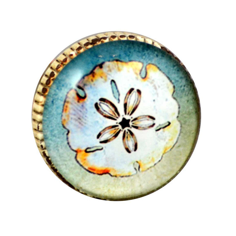 Poignée fantaisie Sand Dollar (ensemble de 4)