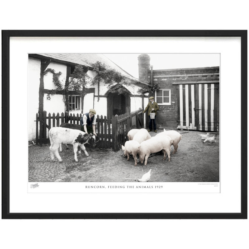 Runcorn, Feeding The Animals 1929 - Single Picture Frame Print, 45cm H x 60cm W x 2.3cm D