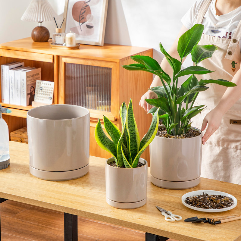 FLHPOT Ceramic Pot Planter, Grey