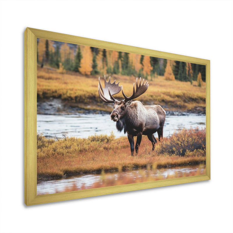 Orignal en Alaska, paysage I - animaux, impressions sur toile, Encadrement doré, H 30 po x l 40 po x P 1,5 po