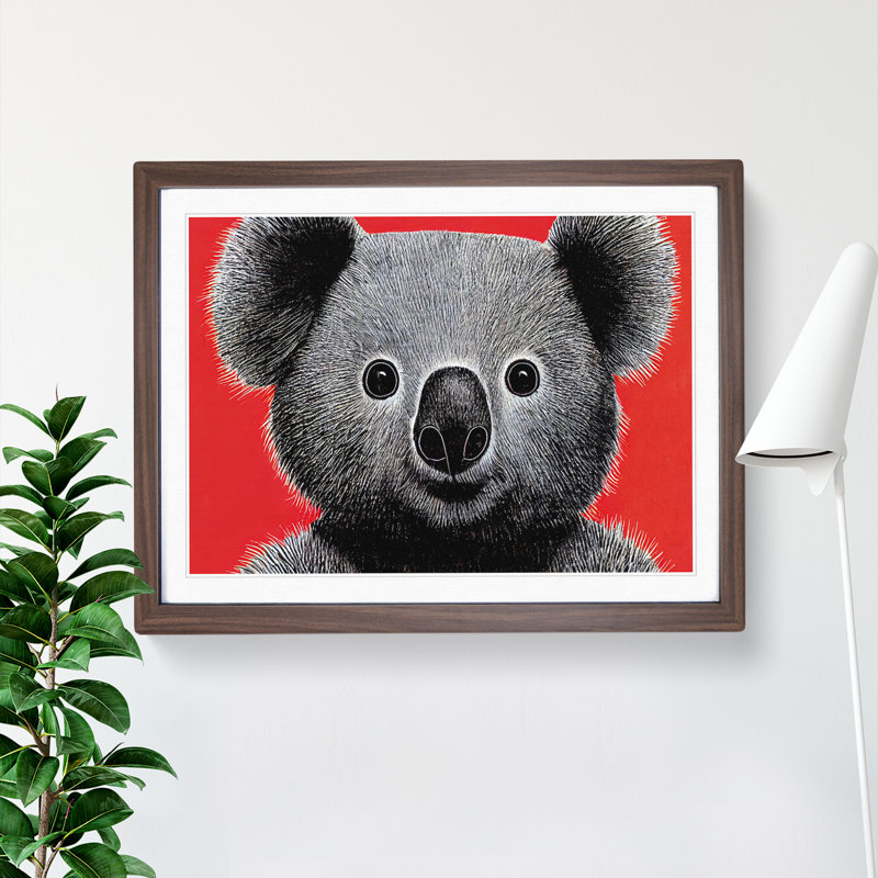 Select Koala Bear - Framed Print, 46cm H x 64cm W x 2cm D, Walnut