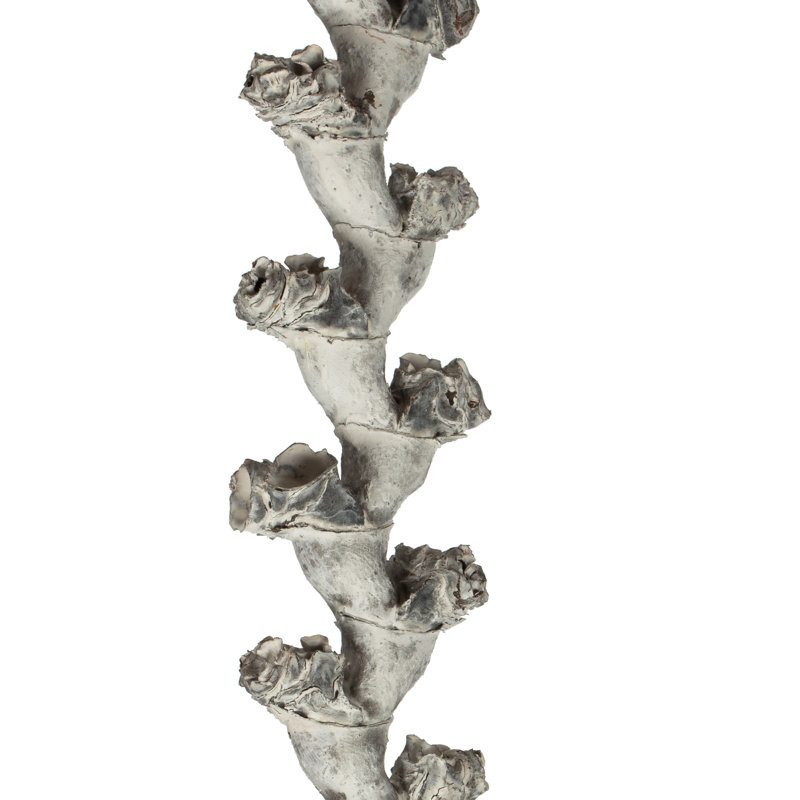 Primrue 40-48 "blanc clair échelle branches - XL, droit, 7 tiges, séché