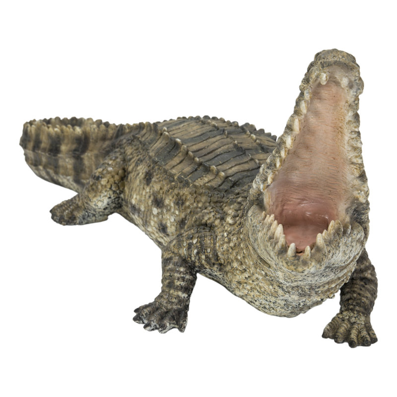 Crocodile avec la gueule ouverte