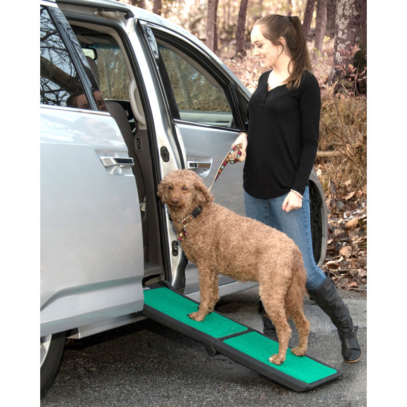 Portable Black and Green Bi-Fold Pet Ramp with Supertrax