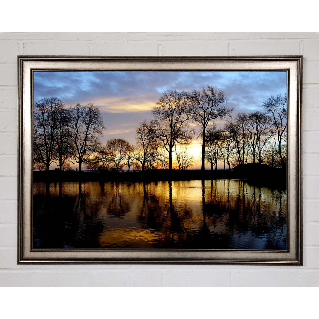 Woodland Lake At First Light - Einzelner Bilderrahmen Kunstdrucke