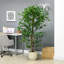 Ficus artificiel 6 pi avec pot, plante artificielle d'extérieur pour la décoration de salon de bureau à domicile