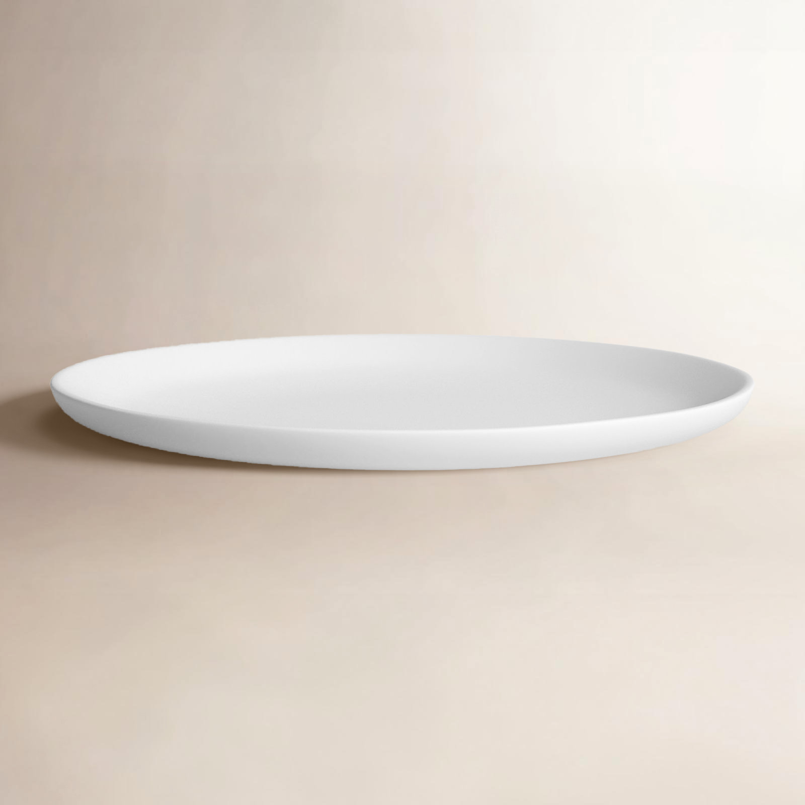 RE/FINE™ Laya Matte Melamine Serving Platter & Reviews | Birch Lane