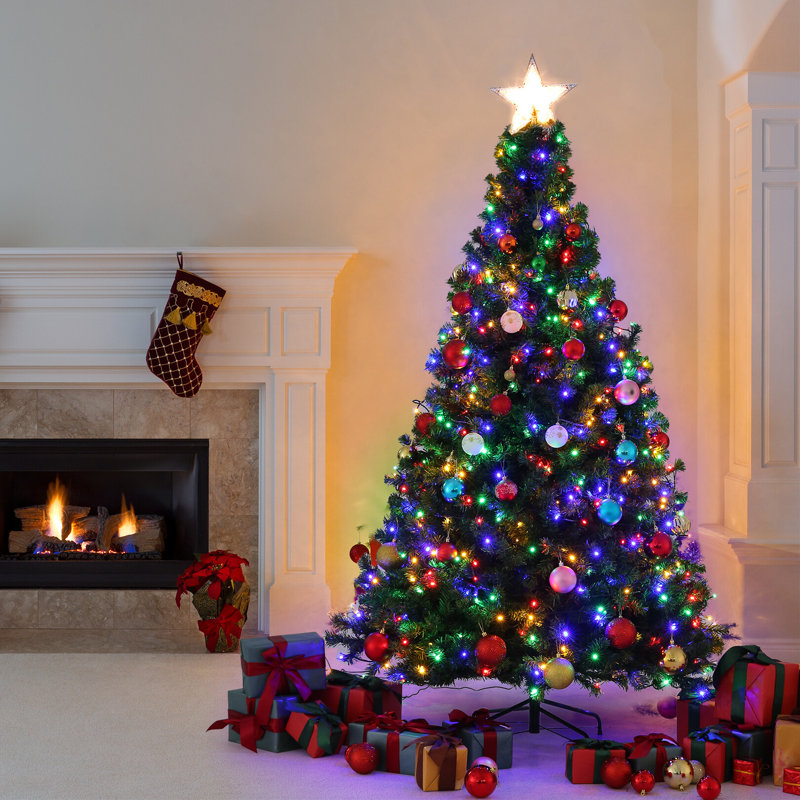 Lighted Christmas Tree