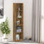 Shamus 175cm H Standard Bookcase-1966425597-1995503598