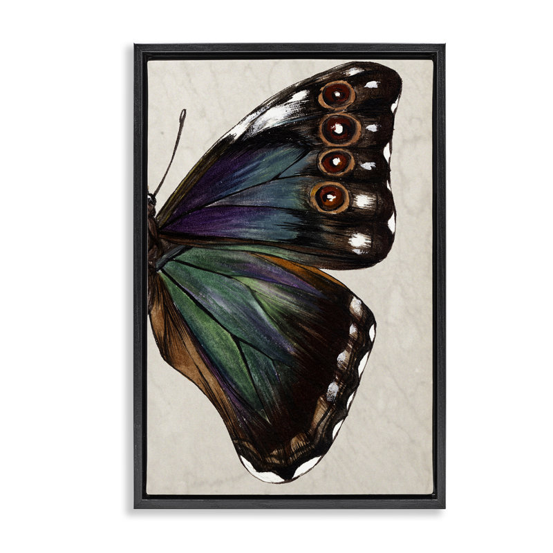 Toile d'aile de papillon classique par Melissa Wang, Cadre flottant noir de jais, H 25 po x l 17 po