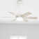 44" Pacer 6 - Blade Ceiling Fan with Lights and Remote