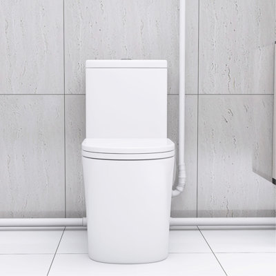 600W Toilet For Basement Improvement: Dual Flush, 17.25" Comfort Seat, Soft-Close, 3 Water Inflows, White With Powerful : Inlets,