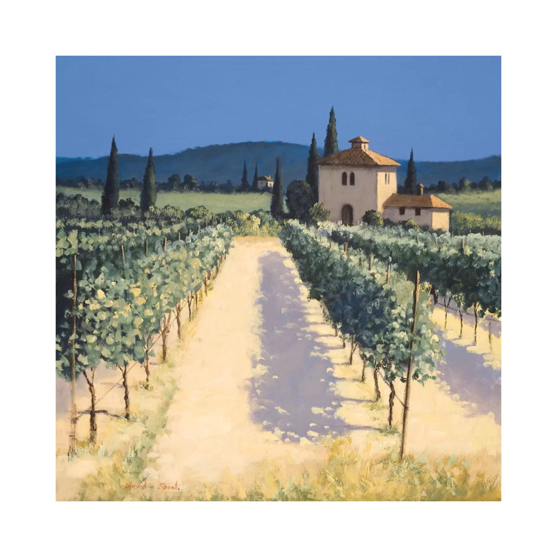 Vineyard Shadows - Wrapped Canvas Print, 30.48cm H x 30.48cm W x 1.91cm D