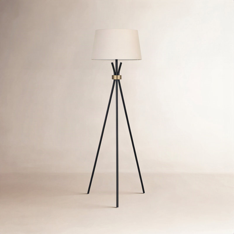 Carmine 60'' Matte Black/Antique Bronze Tripod Floor Lamp