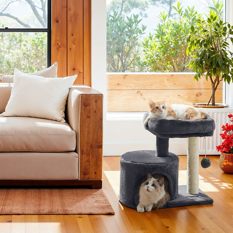Tour pour chat avec condo et poteau à griffes pour petits espaces, Dark Gray