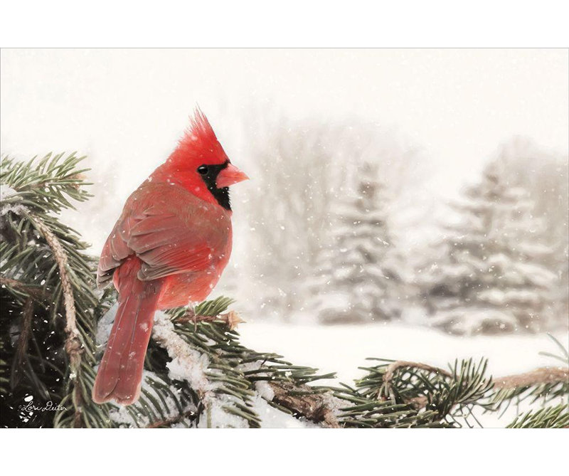 Art sur toile tendue avec Alcert Hill® Deiter, Lori Gallery: Winter Perch, H 33 po x l 48 po