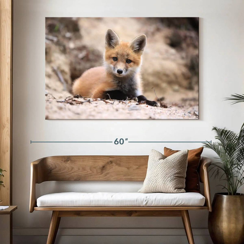 Petit renard brun, H 34 po x l 51 po