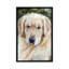 Golden Retriever Portrait par Rachel Parker - reproduction d'art-54633047-54633048-54633049