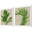 Palm Isle II S / 2
