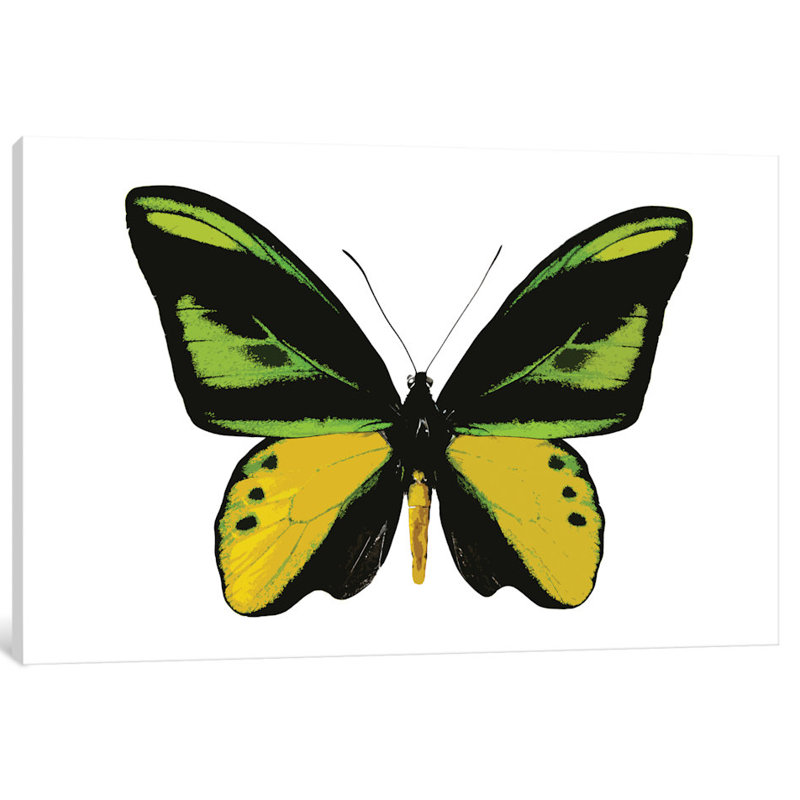 «Vibrant Butterfly VII», reproduction d'art sur toile tendue, H 8 po x l 12 po x P 0,75 po