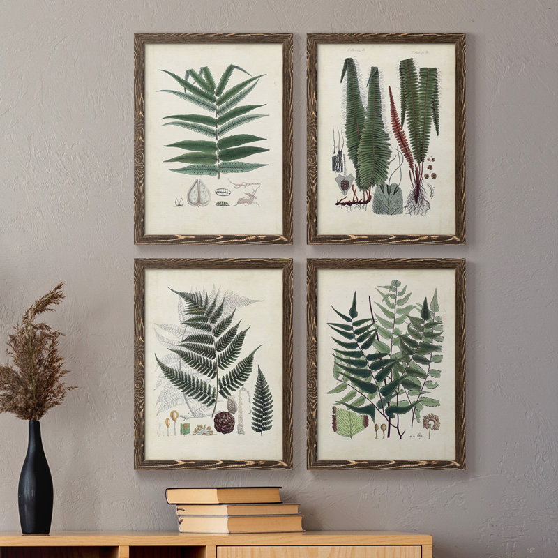 Collection de fougères ix - ensemble de 4 reproductions d'art sur toile encadrées, Noyer, H 31,5 po x l 47 po x P 1,5 po