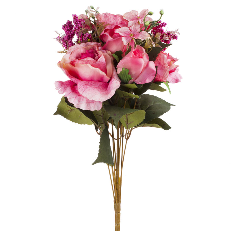 Rosier, Rose