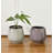 Ceramic Planter Ceramic Table Vase-93564557