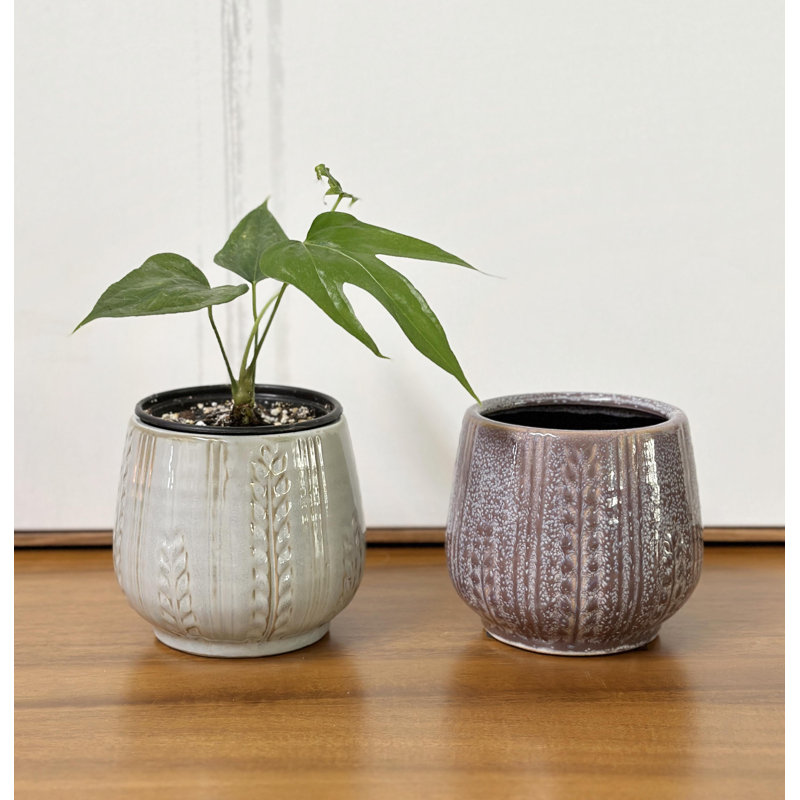 Light Gray 4.5" Ceramic Indoor Succulent Planter