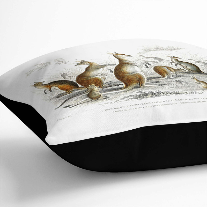 Kangaroos by Oliver Goldsmith Cushion with Filling, Black, 55cm H x 55cm W x 20cm D