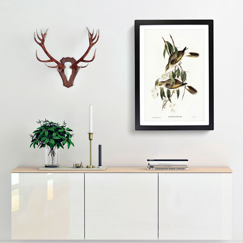 Luteous Honeyeaters by Elizabeth Gould - Picture Frame Painting Print, 48cm H x 36cm W x 2cm D, Black Framed