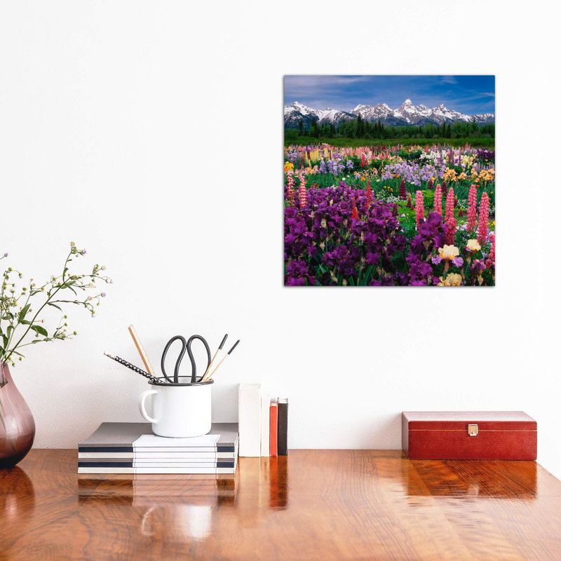 Iris & Lupine Field, Grand Teton National Park, Teton County, Wyoming, Usa by Adam Jones - Print on Canvas